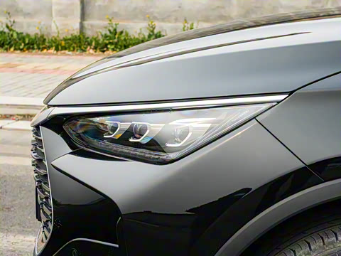 2025�� �Ǽݰ� DM-i 115KM ������