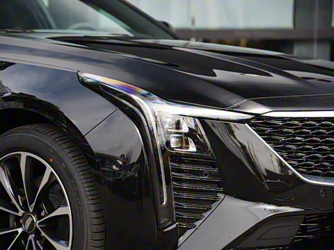 2025�� 28T �����˶���