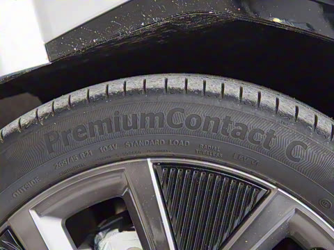 2025�� ����������Max