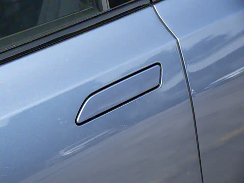 2025�� ����������Max