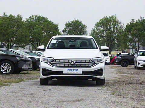 2024�� 300TSI DSG׿Խ��