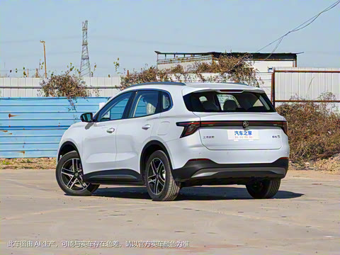 2025�� 515plus ������