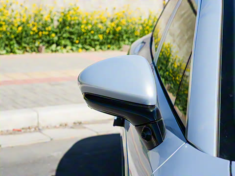 2025�� EV ���������״��콢��