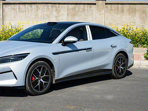 2025�� EV ���������״��콢��