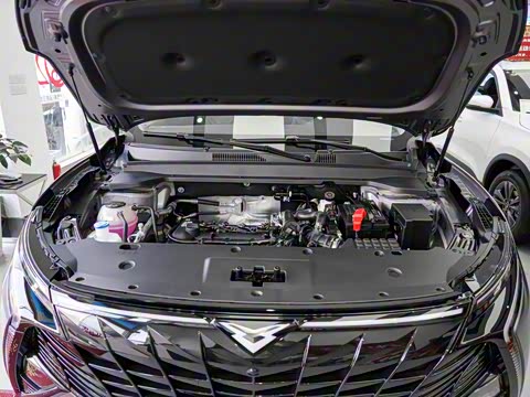 2025�� 1.5T ��ԭ�� 5��