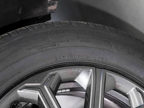 2025�� 1.5T ��ԭ�� 5��