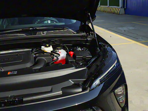 2025�� ������Plus 28T �����׽��