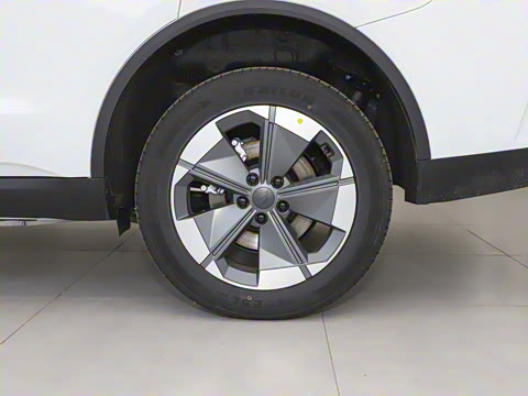 2025�� �������캽��