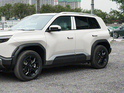 2025�� 501KM ����Max��