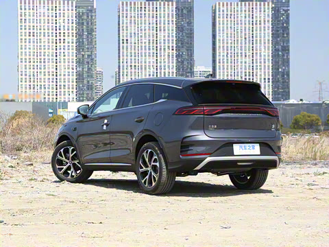 2025�� �Ǽݰ� DM-i 115KM �콢��