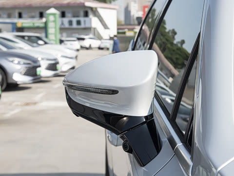 2025�� �Ǽݰ� DM-i 115KM �콢��