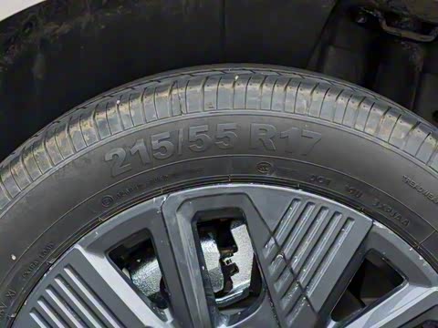 2025�� �캽��