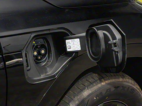 2025�� ����������Pro