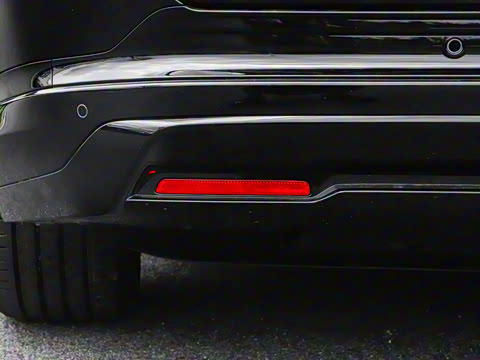 2025�� ����������Pro