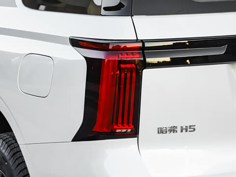 2025�� 2.0T�Զ������캽�� ����