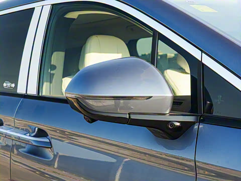 2025�� DM-i 1.5T 180km ��Խ��