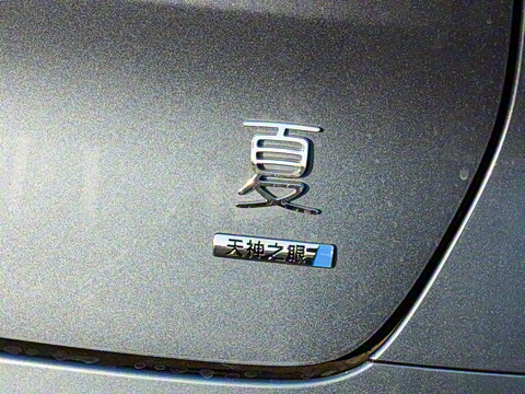 2025�� DM-i 1.5T 180km ��Խ��