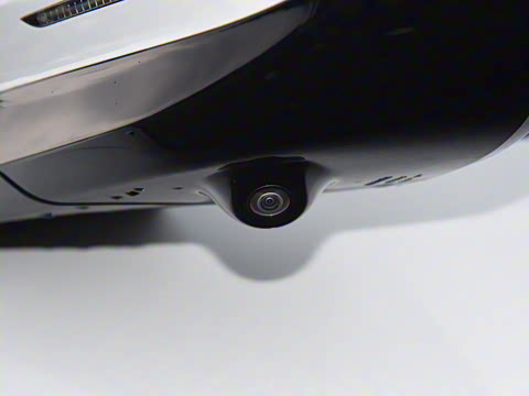 2024�� Max���������