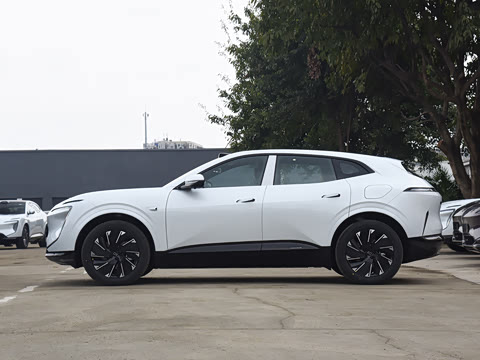 2024�� Max���������