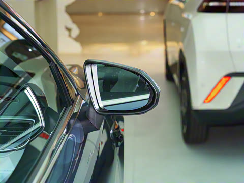 2025�� DM-i �Ǽݰ� 55KM�����