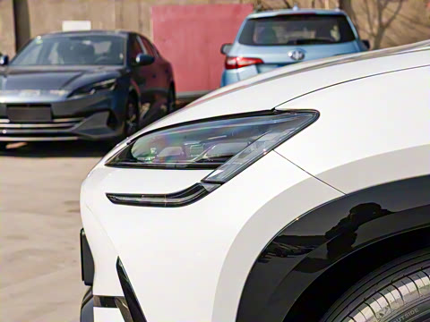 2025�� 610�Ǻ���