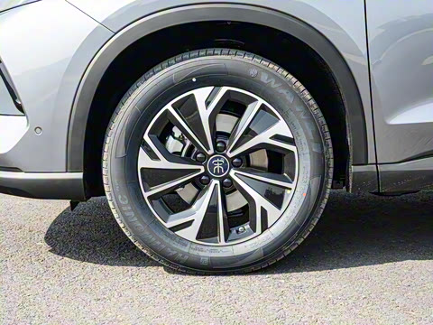 2025�� �ڶ��� �Ǽݰ� DM-i 115KM��Խ��