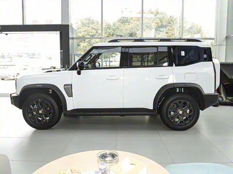 2025�� 2.0T �Զ�����20������