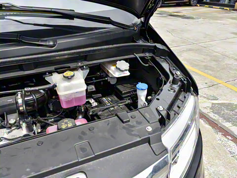 2025�� PLUS 2.0L ������ 9��