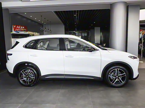 2025�� 425plus ������