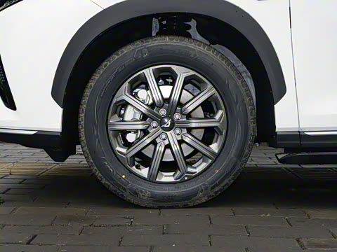 2025�� 1.5T ɽ�������� 7��