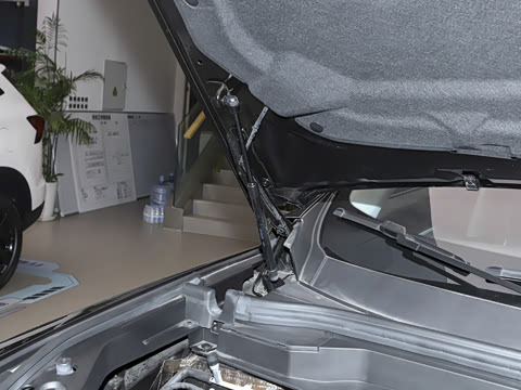 2023�� ������ 1.5T �Զ��ھ���