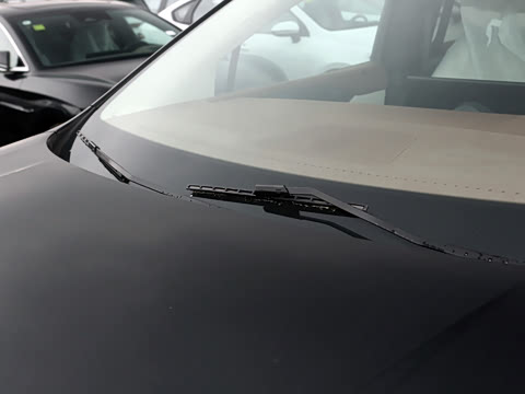 2025�� DM-i 1.5T 100km ������