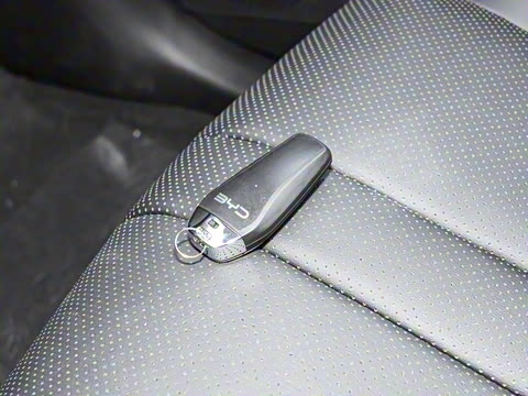 2025�� DM-i �Ǽݰ� 115KM�콢��