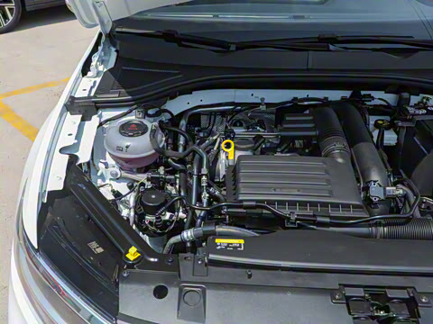 2025�� �Ŀ� 200TSI DSG���е�����