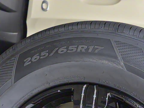 2025�� 2.0T ��ս��