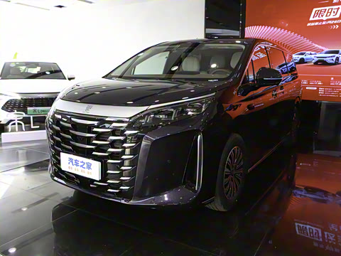 2025�� DM-i 1.5T 180km ��Խ��