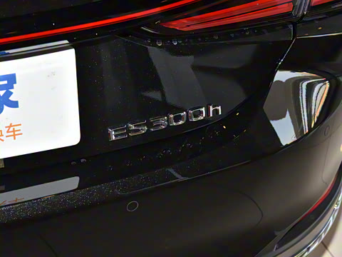 2025�� 300h ������