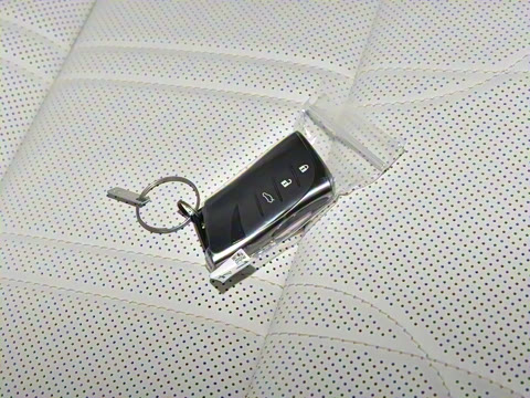 2025�� 300h ������