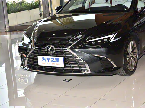 2025�� 300h ������