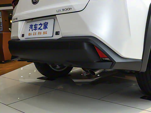 2024�� 300h ̽���