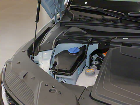 2024�� ˫�������������