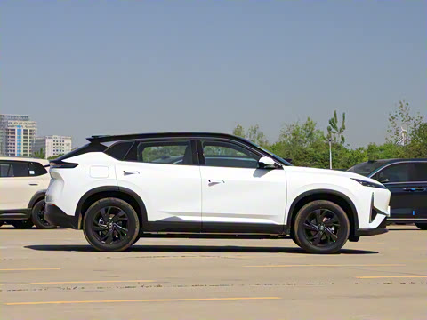 2025�� 518������