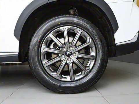 2025�� 1.5T ��ԭ�� 7��