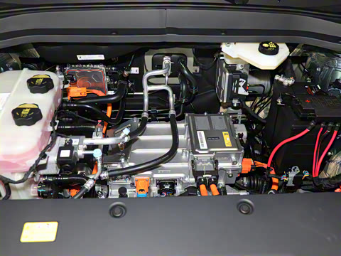 2025�� 445km ���ð�