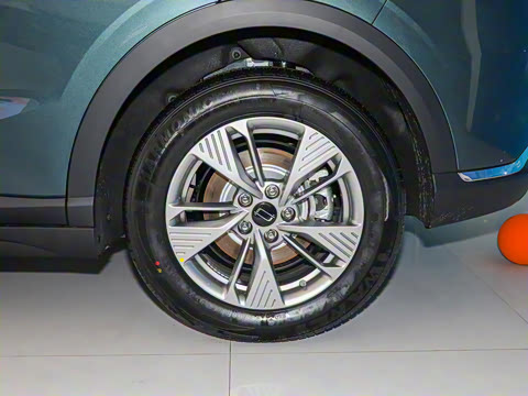 2025�� 445km ���ð�