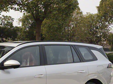 2025�� 210Ultra���̰� 6��