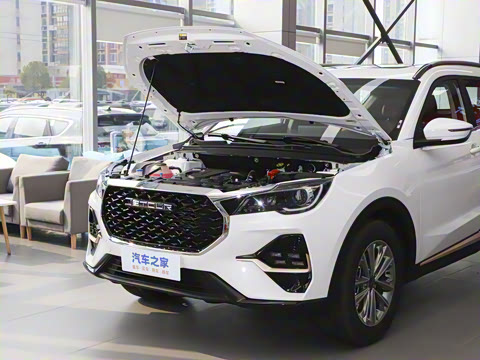 2025�� 1.5T DCT��ԽPRO 5��