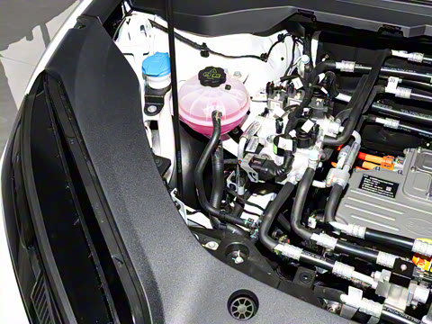 2025�� 520���а�