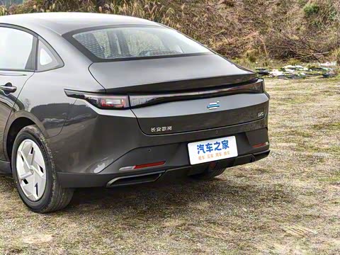 2025�� ��׼��