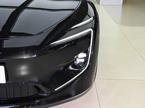 2025�� Max�����